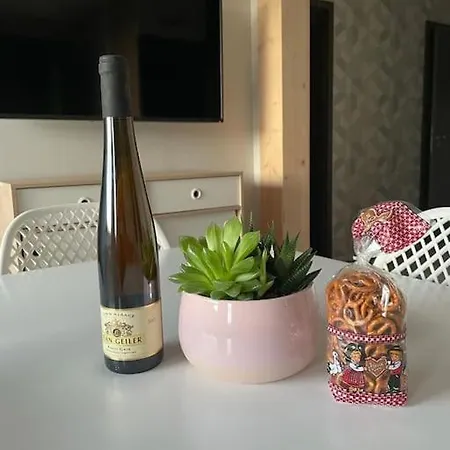 Апартаменты Le Scandinave Centre Ville/2 + Terrasse *